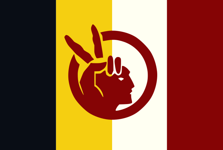 Image: Flag of the American Indian Movement. Vertical bars of black, gold, white, and red stand behind a red emblem of a man's face in profile. A hand is positioned on the head to suggest a peace sign and a feathered headdress.